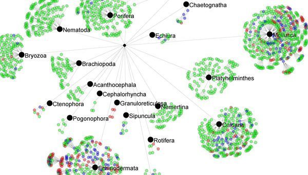 custom-taxonomies