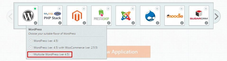 Cloudways Multisite