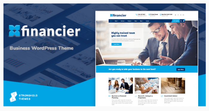 Financier Theme Review